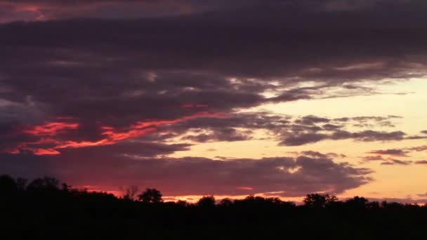 Orange rosa solnedgång — Stockvideo