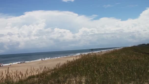 Playa con hierba larga — Vídeos de Stock