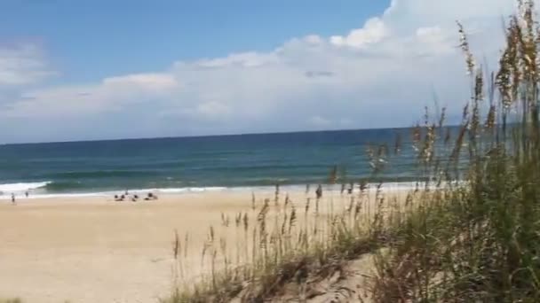 Playa con hierba larga — Vídeo de stock