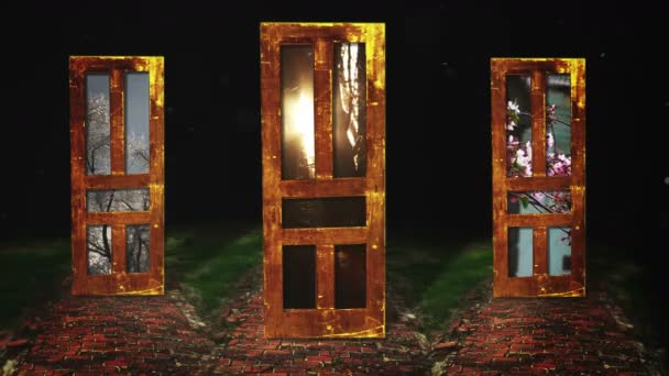 Три загадочных двери — стоковое видео
