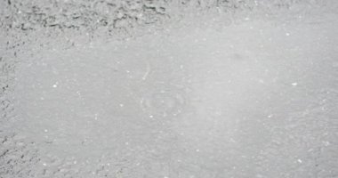 Yağmur altında ölen gül