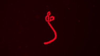 Ebola virüsü animasyon