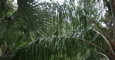 şiddetli yağmur fırtına