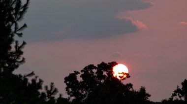 ağaçların arkasında güneş ayarı