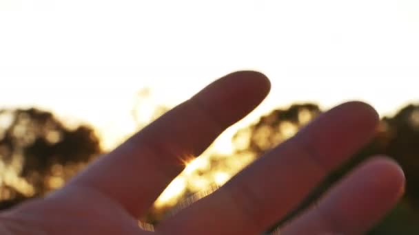 Sonnenschein geht durch die Finger — Stockvideo