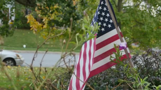 Amerikan bayrağı üfleme — Stok video