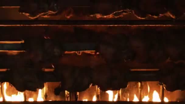 Galinhas Rotisserie com fogo — Vídeo de Stock