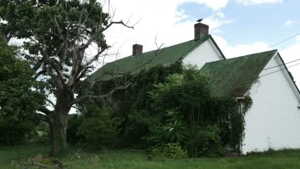Casa de fazenda velha — Vídeo de Stock