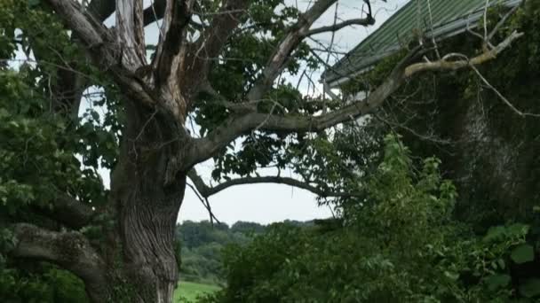 Casa de fazenda velha — Vídeo de Stock