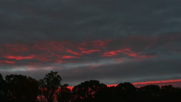 Coucher de soleil d'automne orange — Video