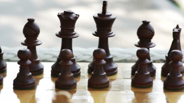Jogo de xadrez fora — Vídeo de Stock