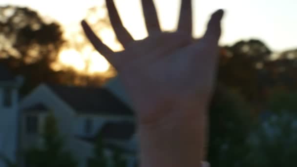 Sonnenschein geht durch die Finger — Stockvideo