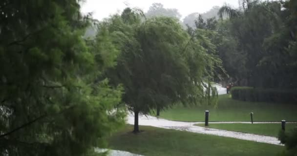 Şiddetli yağmur fırtına — Stok video
