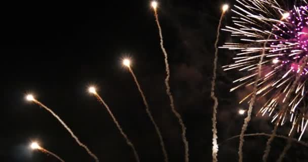 Fuochi d'artificio contro cielo scuro — Video Stock