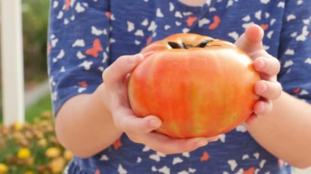 Niño sosteniendo tomate — Vídeos de Stock