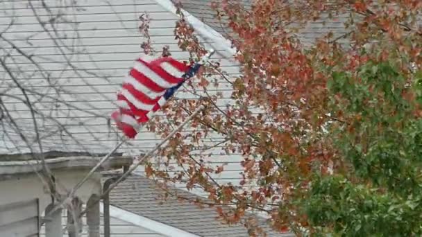 American Flag Blowing — Stock Video