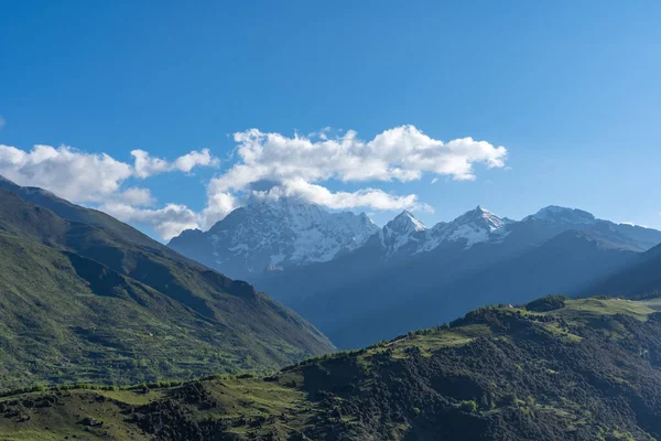 Siguniang Dağı 'nın manzarası ya da batı Sichuan Eyaleti' nin Aba Tibet ve Qing Özerk Bölgesi Xiaojin İlçesi 'ndeki kar şapkalı ve bitkilerli dört kız çocuğu..