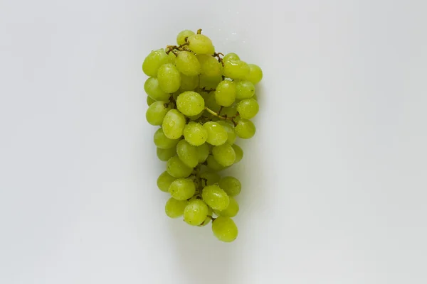 Bando de uvas com gotas de água — Fotografia de Stock