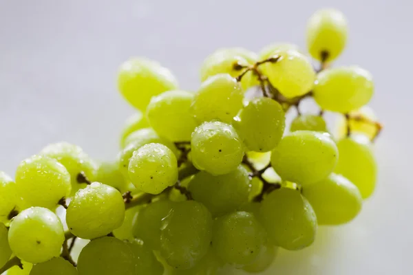 Bando de uvas com gotas de água — Fotografia de Stock