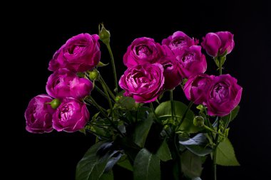 Buket gül Şakayık