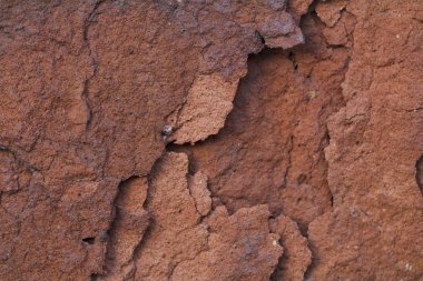 kırmızı tuğla duvar