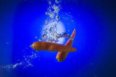 Mavi renkli su içerisinde yüzen havuç