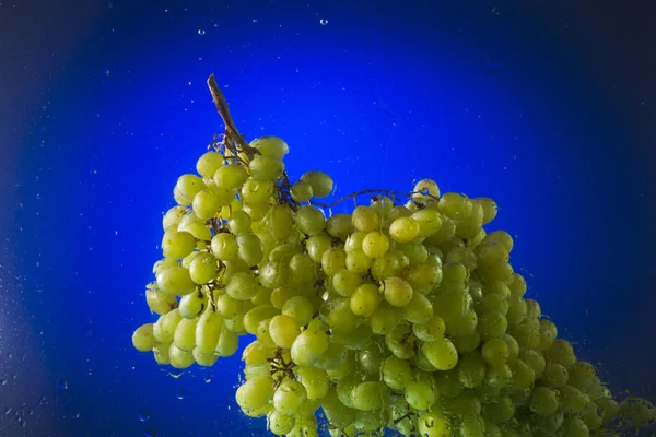 Зеленый виноград в воде на синем фоне — стоковое фото