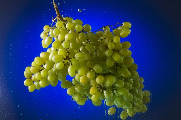 青色の背景に水の緑のブドウ — ストック写真