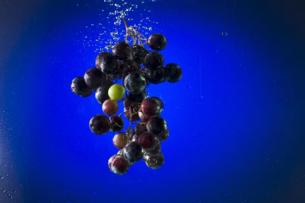 Uvas negras en agua sobre fondo azul — Foto de Stock
