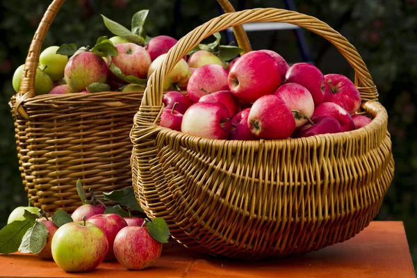在木制的柳条篮子里的红苹果 — 图库照片