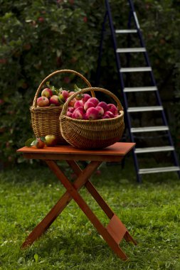 Ahşap sepet içinde kırmızı elmalar