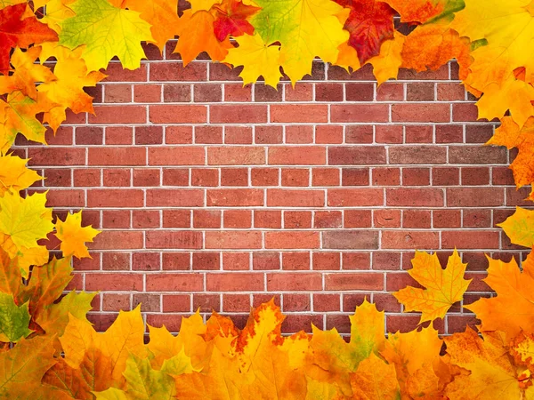 Maple autumn leaves in the form of a frame on a background of a red brick wall backdrop