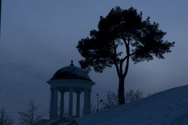 Gece oyuğunda