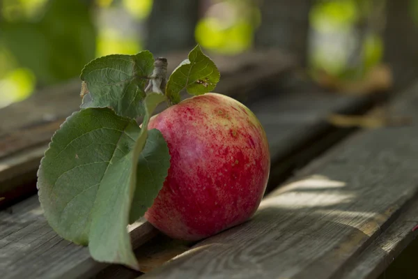 Apples on the bench — Stock Photo, Image