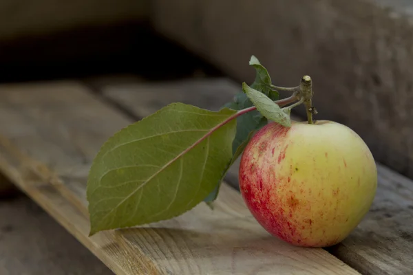 Apples on the bench — Stock Photo, Image