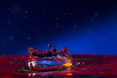 su. damla. sprey. dalgacık.