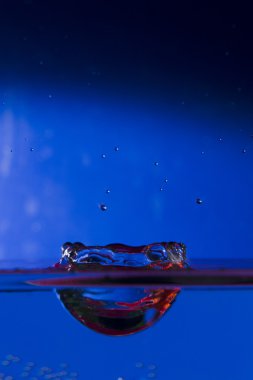 su. damla. sprey. dalgacık.