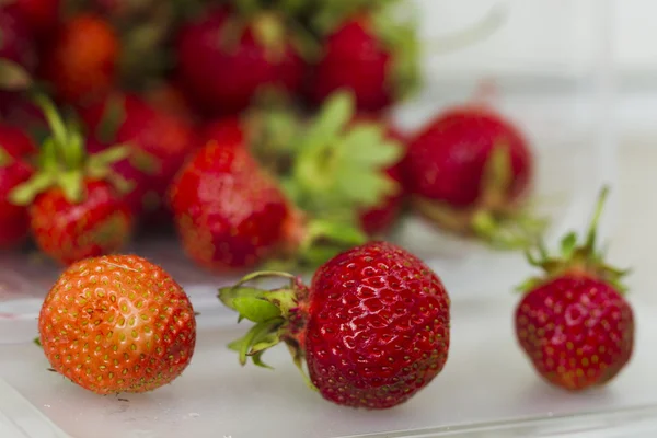 Aardbeien. — Stockfoto