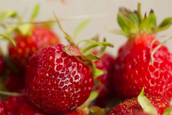 Aardbeien. — Stockfoto