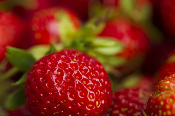 Aardbeien. — Stockfoto