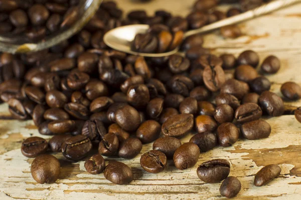 Granos de café. — Foto de Stock