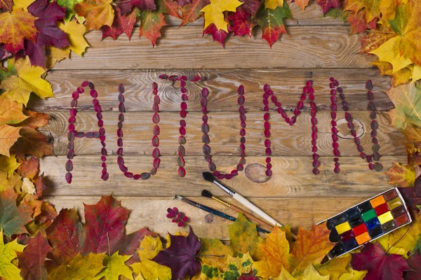 Herbstlaub — Stockfoto