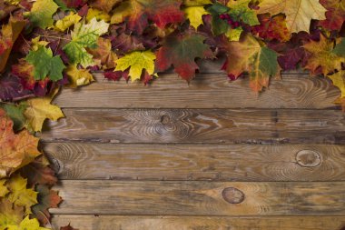 sonbahar yaprakları