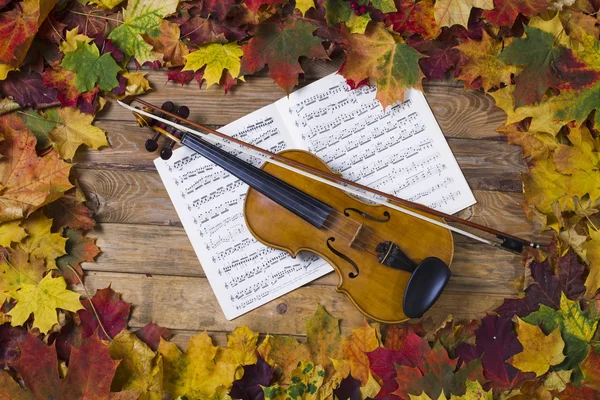 Violino contra o pano de fundo da folhagem de outono — Fotografia de Stock