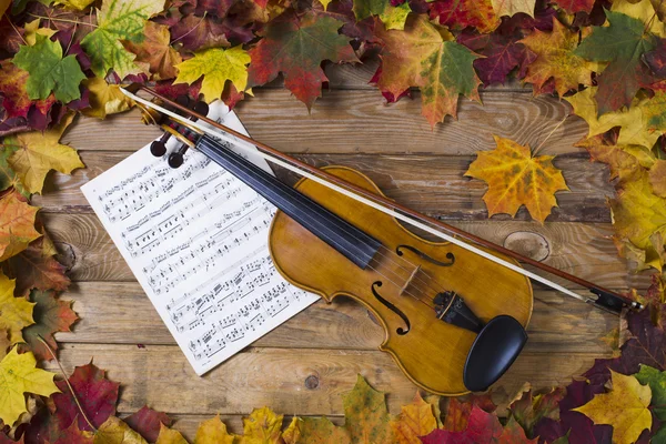 Geige vor dem Hintergrund des Herbstlaubs — Stockfoto