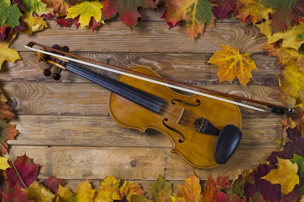 小提琴的背景下的秋叶 — 图库照片
