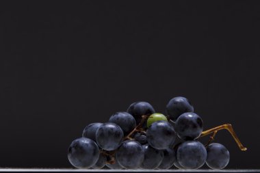 Siyah üzüm 