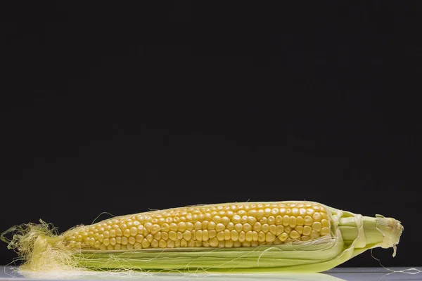 옥수수 낟알 — 스톡 사진