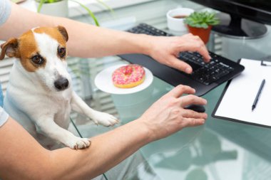 Kafkasyalı bir adam bilgisayarın başına oturur, Jack Russell Terrier adında bir köpek kucağına oturur, patisini sahibinin eline koyar. Merkez Ofis