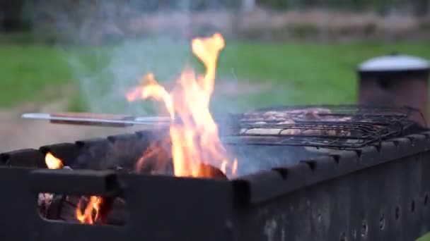 그릴 위에서 고기를 감는 것은 숯으로 요리하는 것입니다. 옥외 요리. — 비디오